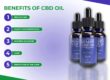 Full Spectrum CBD Oil (Menthol)